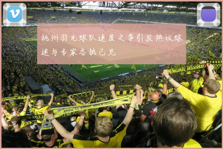 杭州羽毛球队速度之争引发热议球迷与专家各执己见