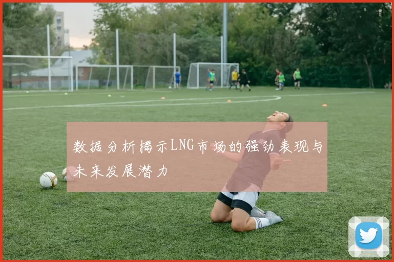 数据分析揭示LNG市场的强劲表现与未来发展潜力