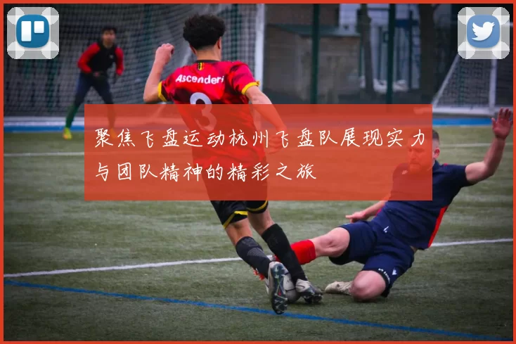 聚焦飞盘运动杭州飞盘队展现实力与团队精神的精彩之旅
