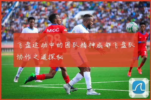 飞盘运动中的团队精神成都飞盘队协作之道探秘