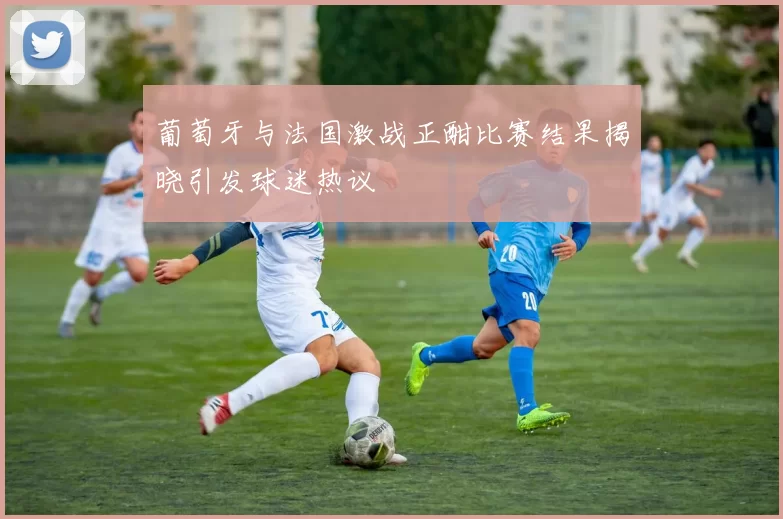 葡萄牙与法国激战正酣比赛结果揭晓引发球迷热议