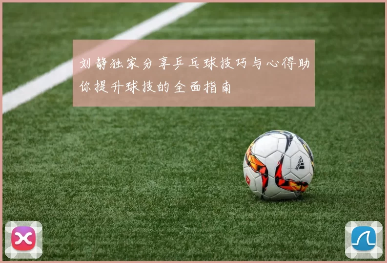 刘静独家分享乒乓球技巧与心得助你提升球技的全面指南