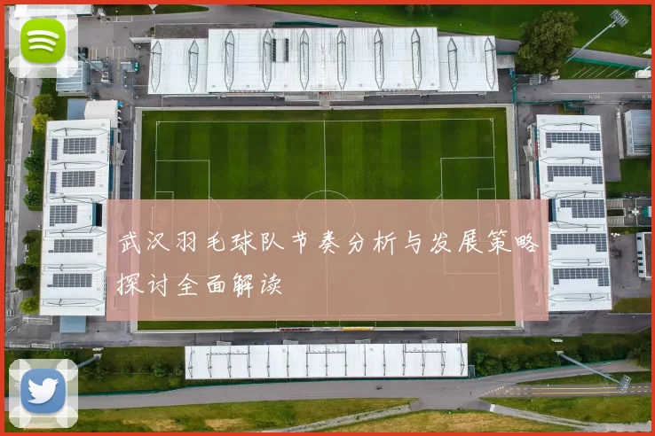 武汉羽毛球队节奏分析与发展策略探讨全面解读